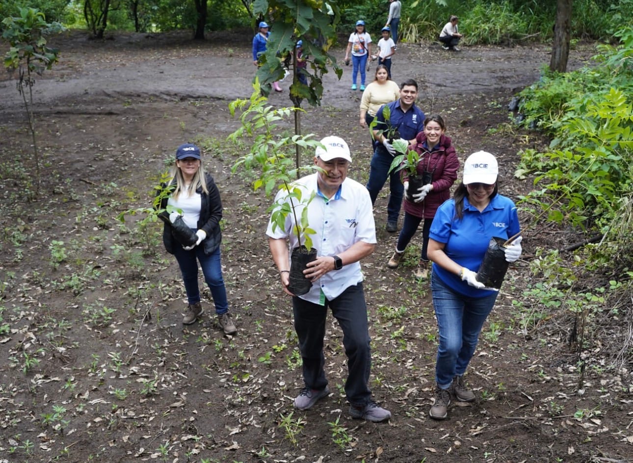 BCIE promotes environmental education through pollinator gardens in Guatemala