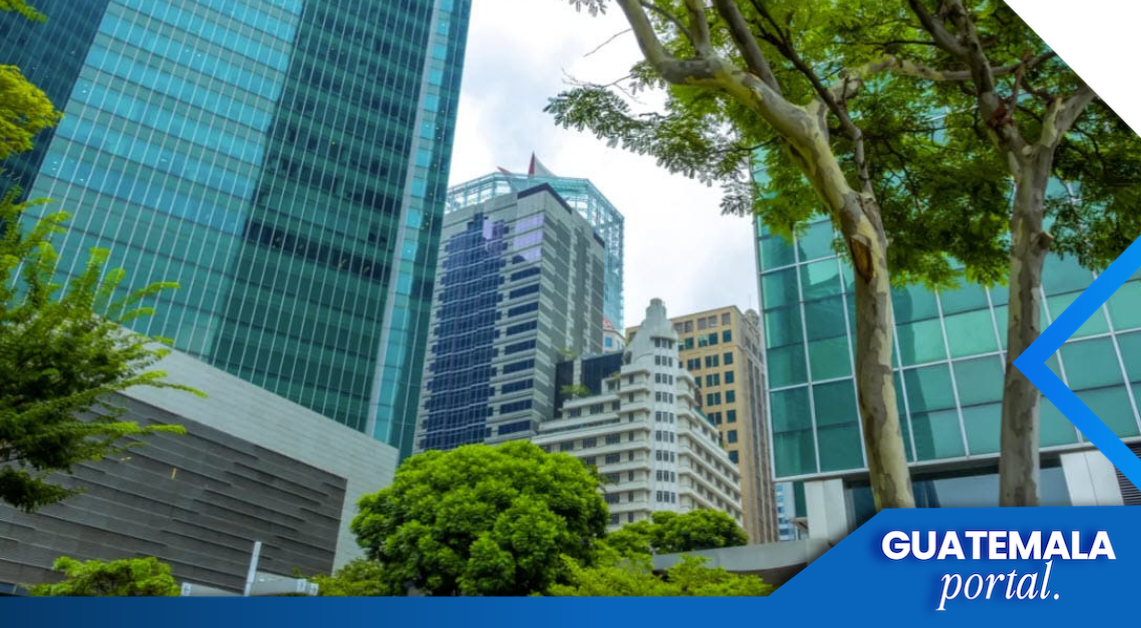 Guatemalan Companies with the Highest Growth in the Last Five Years
