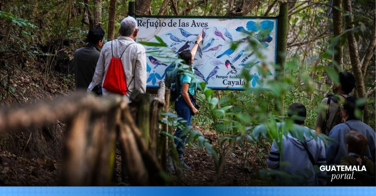 Tourism Authorities Launch Central America Big Day 2026 Regional Birdwatching Event