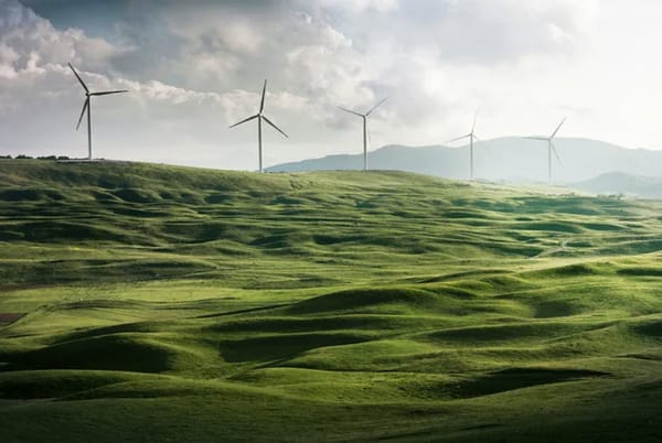 Three Guatemalan Companies Committed to Sustainability