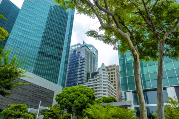 Guatemalan Companies with the Highest Growth in the Last Five Years