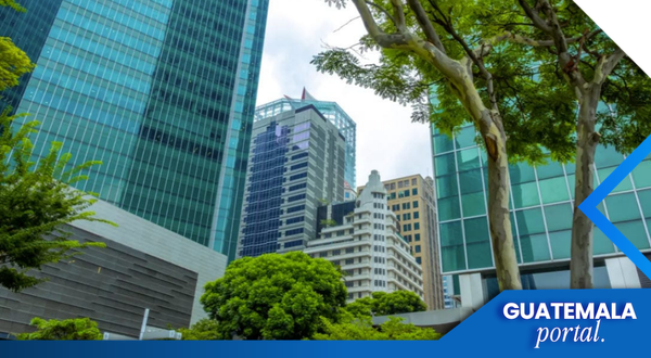 Guatemalan Companies with the Highest Growth in the Last Five Years
