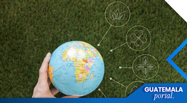 Environmental Sustainability as a Key Business Strategy in Guatemala