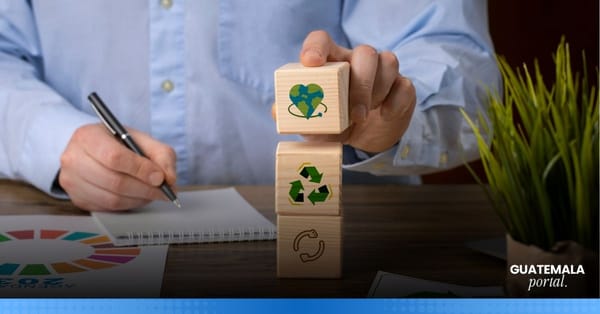 Institutional Sustainability: Between Narrative and Real Action