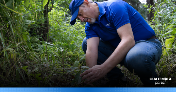 BCIE promotes reforestation and environmental education in Guatemala