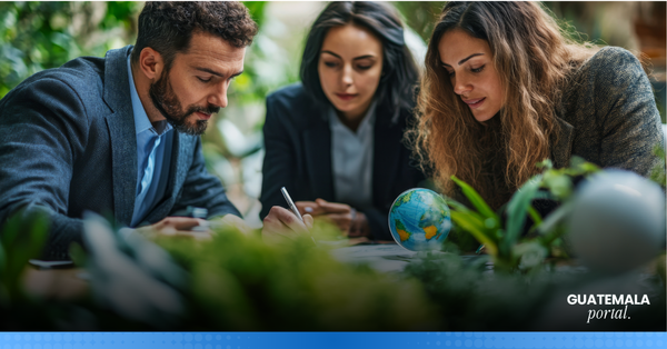 Guatemalan Companies and Sustainability as a Business Strategy