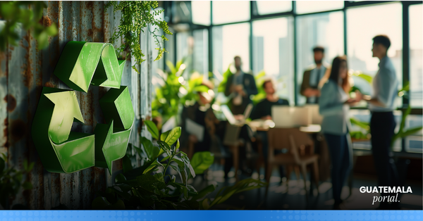 Guatemalan Companies Leading the Way in Sustainability by 2026