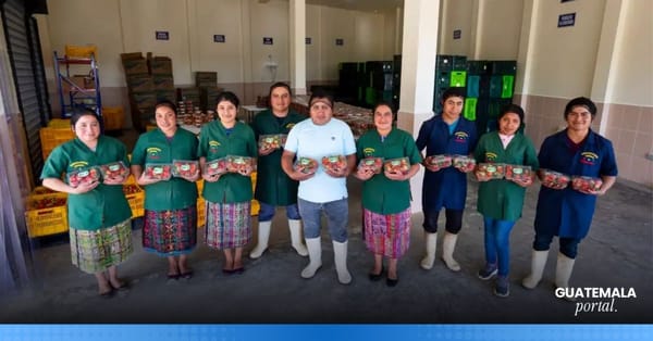 Tierra Fértil: How Walmart Is Empowering Sustainable Agriculture in Tecpán