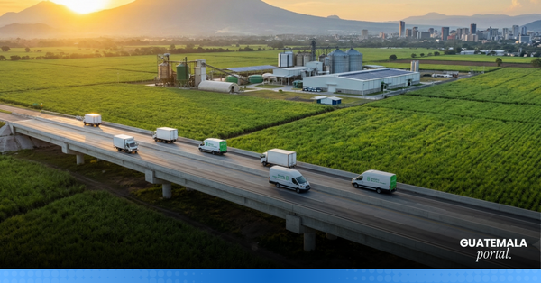 Leading the Change: Companies Transforming Guatemala